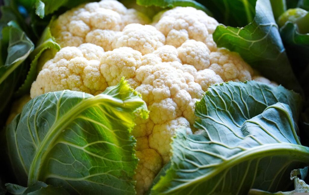 cauliflower, vegetable, food-5538616.jpg