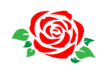 rose, red flower, red rose-7194419.jpg