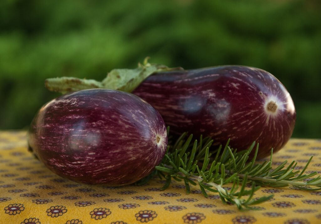 eggplants, rosemary, vegetable-3590866.jpg