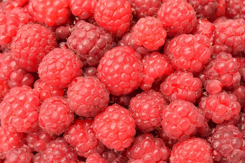 raspberries, red, fruit-1495713.jpg